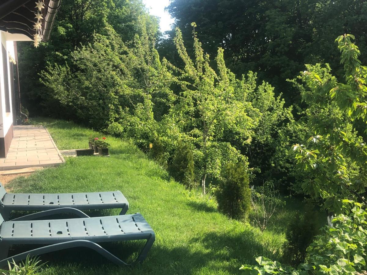 Cabana Dintre Fagi Poiana Mărului Екстериор снимка